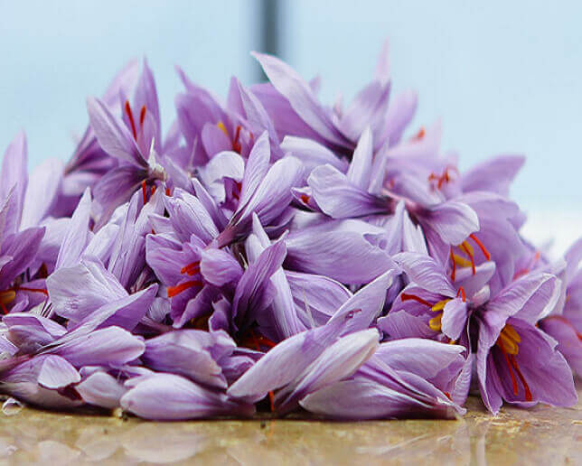 How to distinguish real saffron from fake